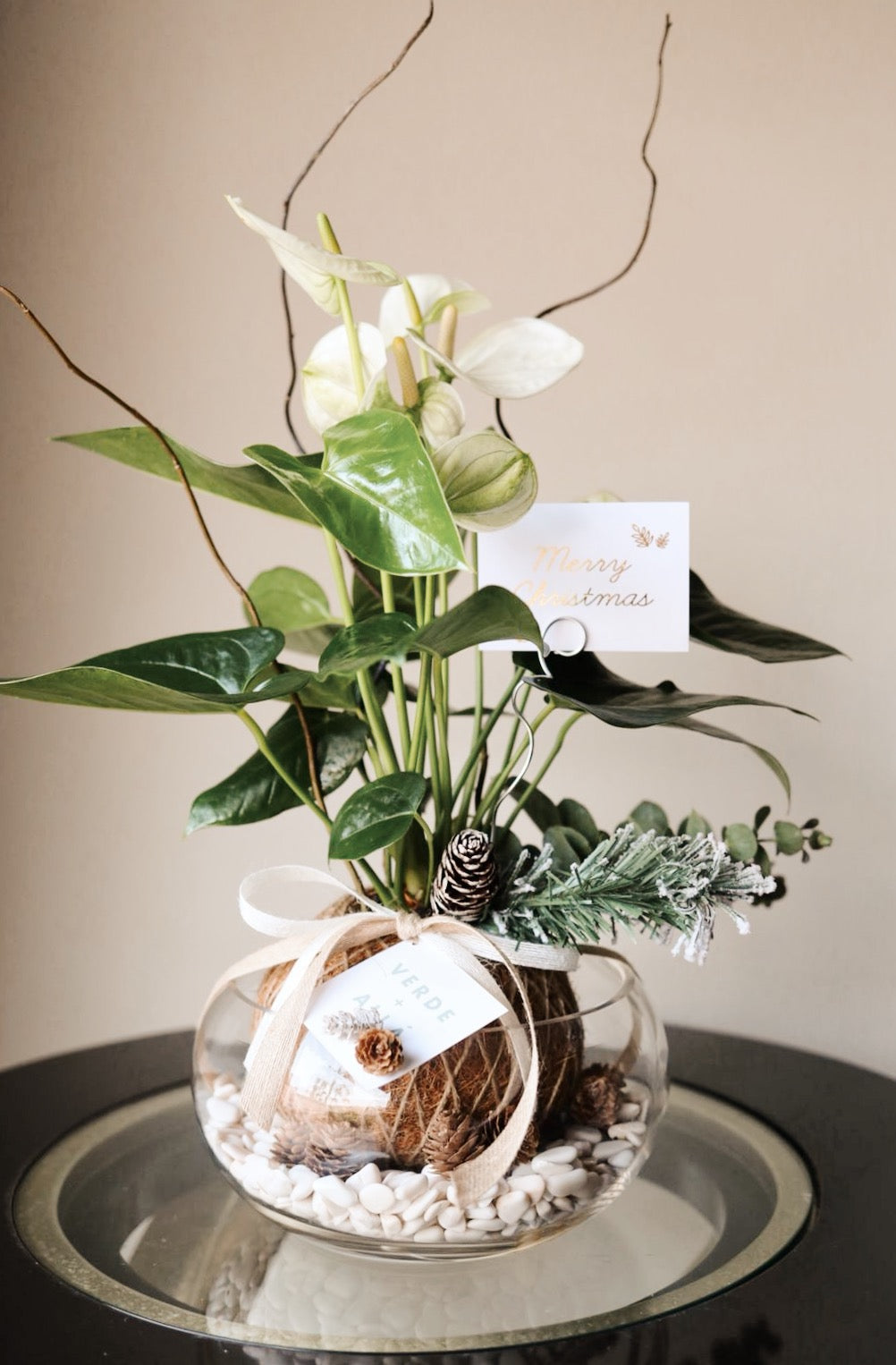 Kokedama de Anthurium blanco de Navidad