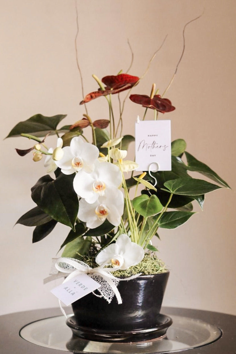 Arreglo en Maceta con Dos Anthuriums y Una Orquidea