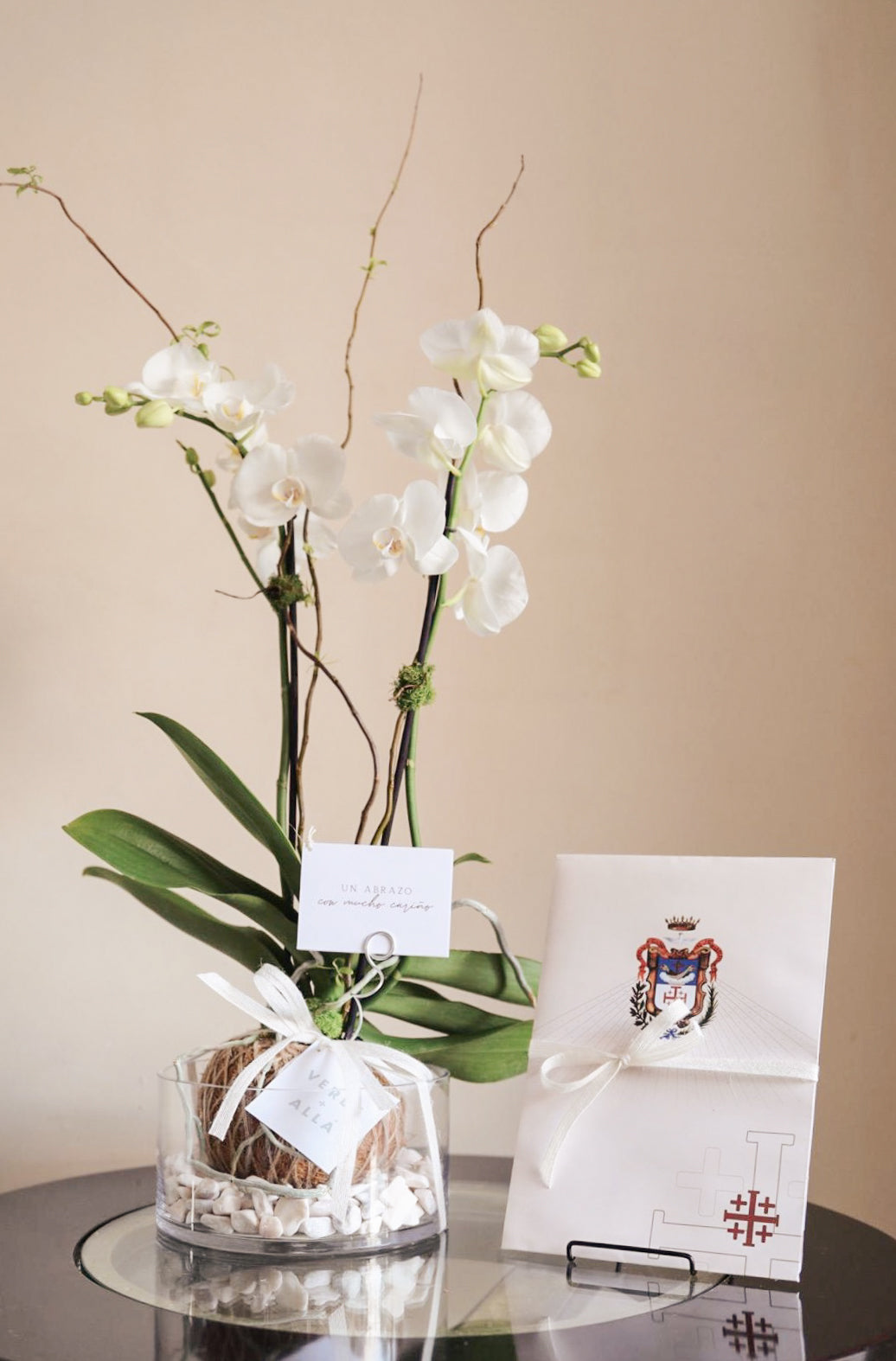 Kokedama de Orquidea Blanca y Misa