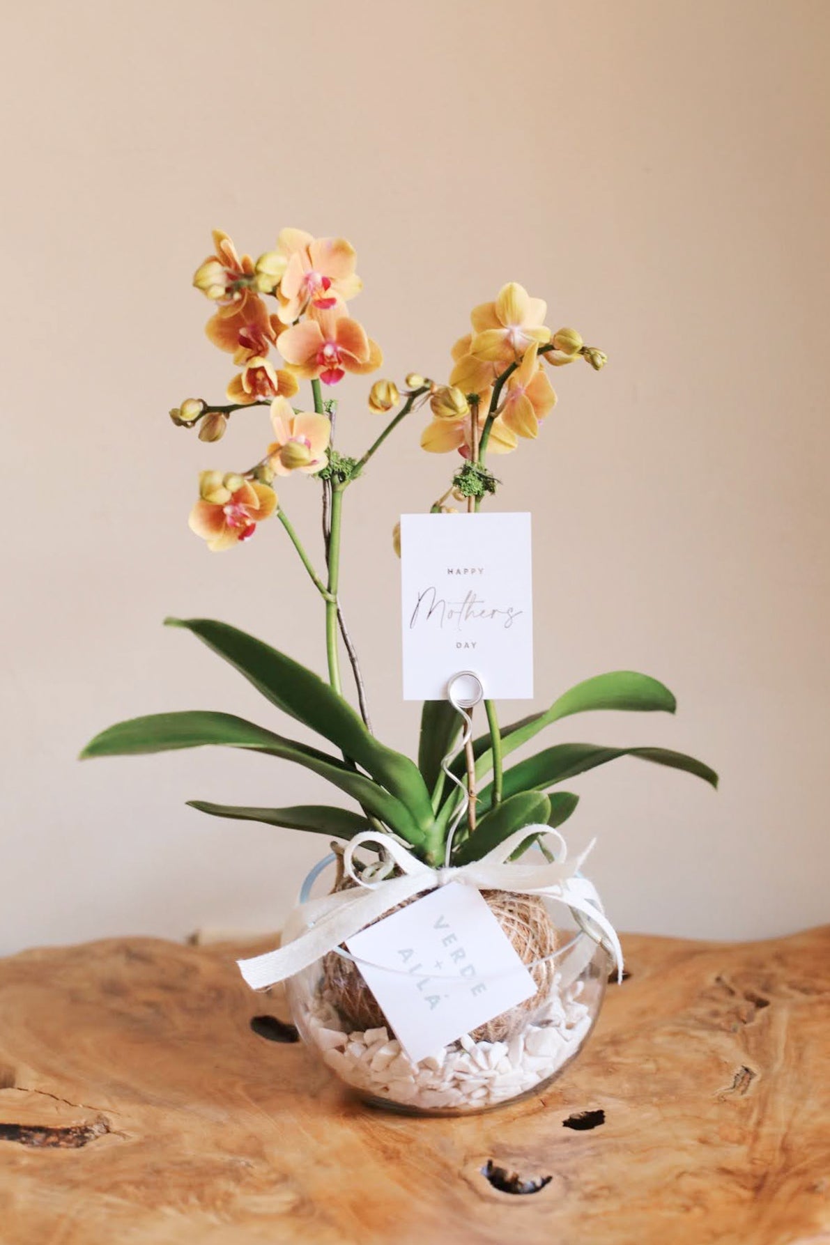 Kokedama con Orquídea Naranja
