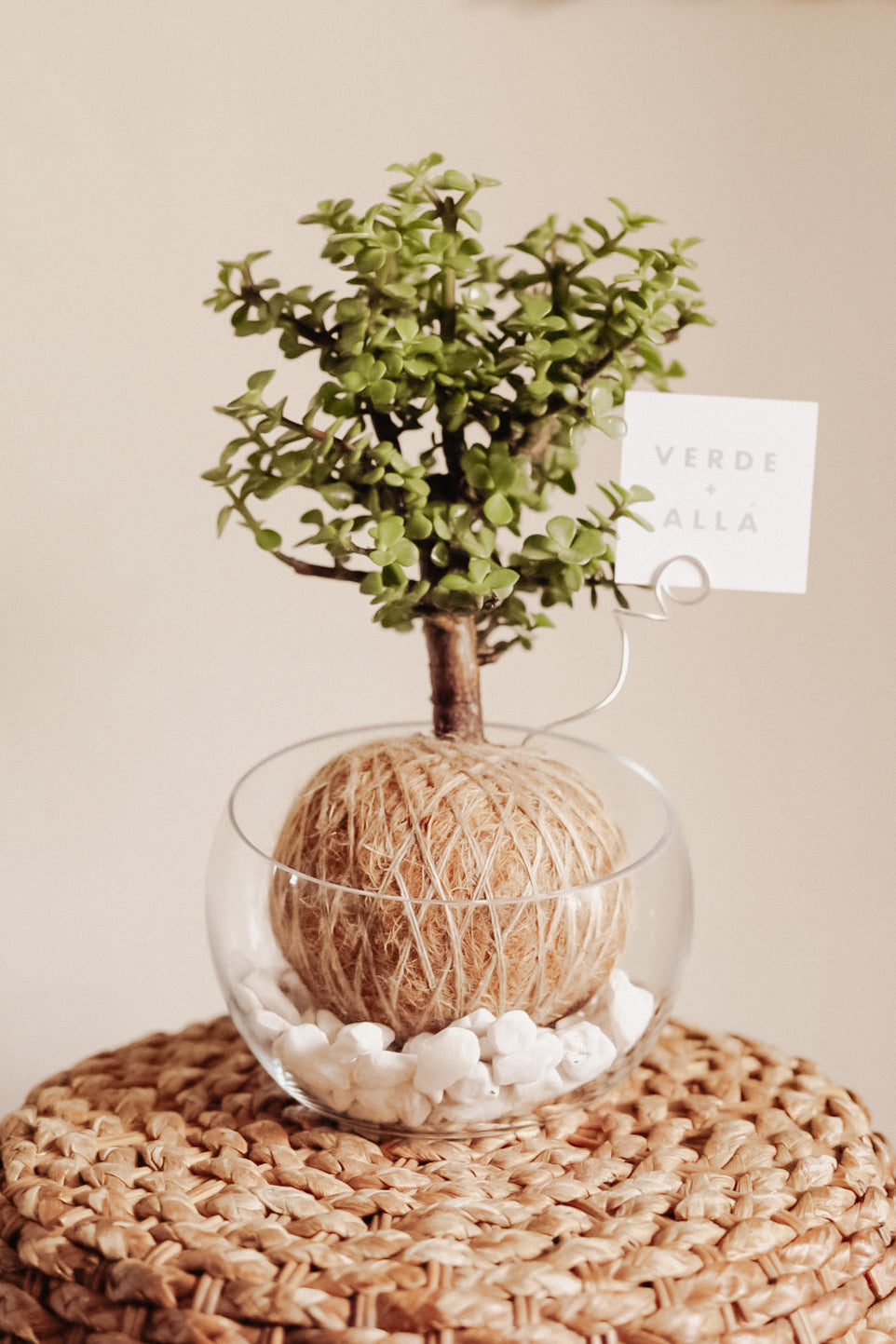 Árbol de la Abundancia