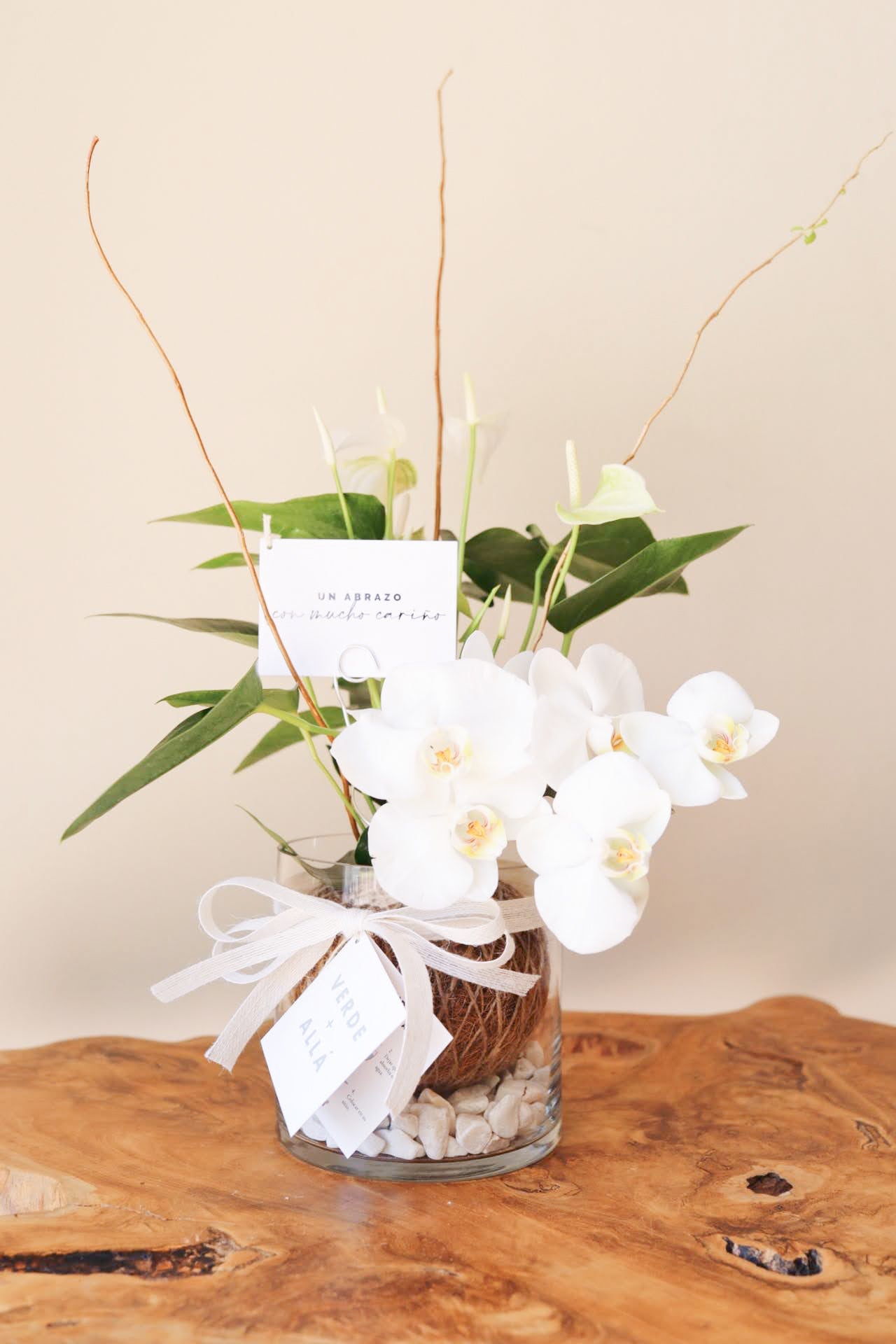 Mini Anthurium Blanco con Orquídea Blanca