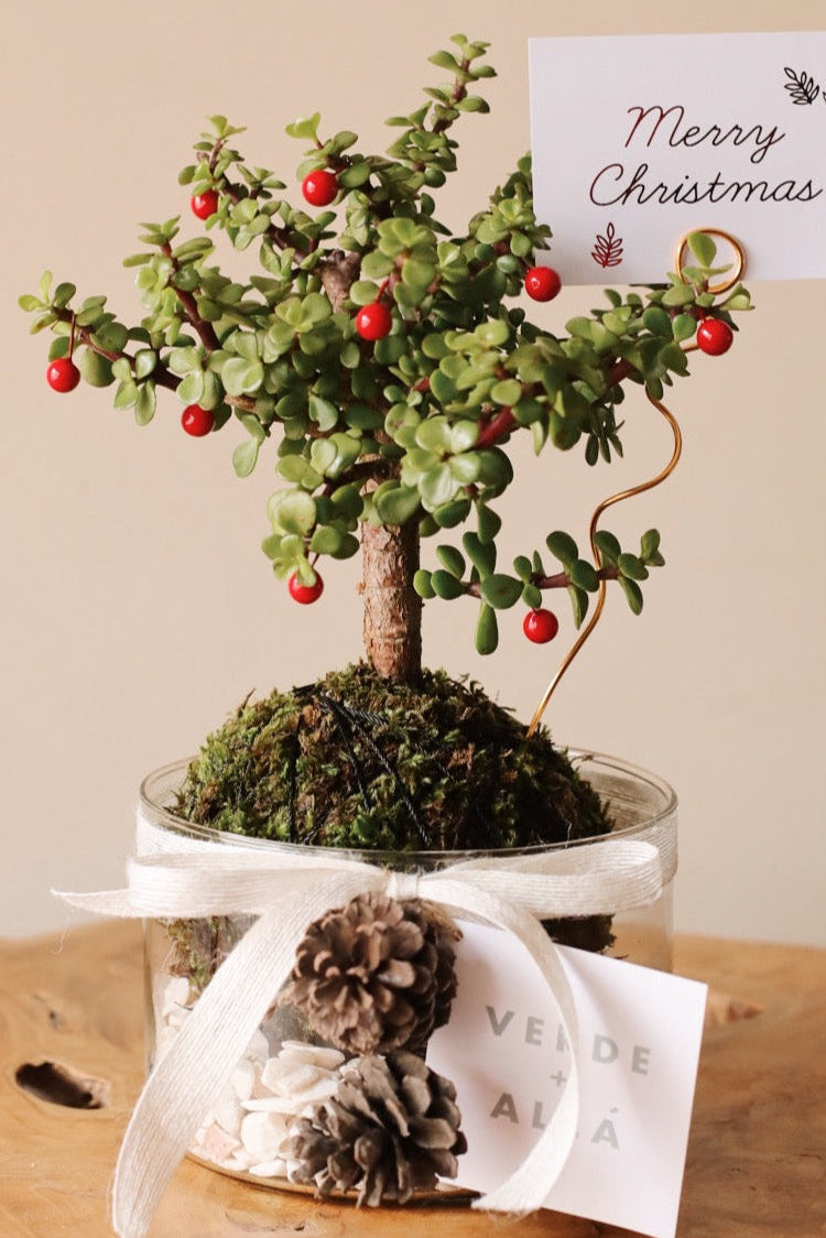 Árbol de la Abundancia de Navidad