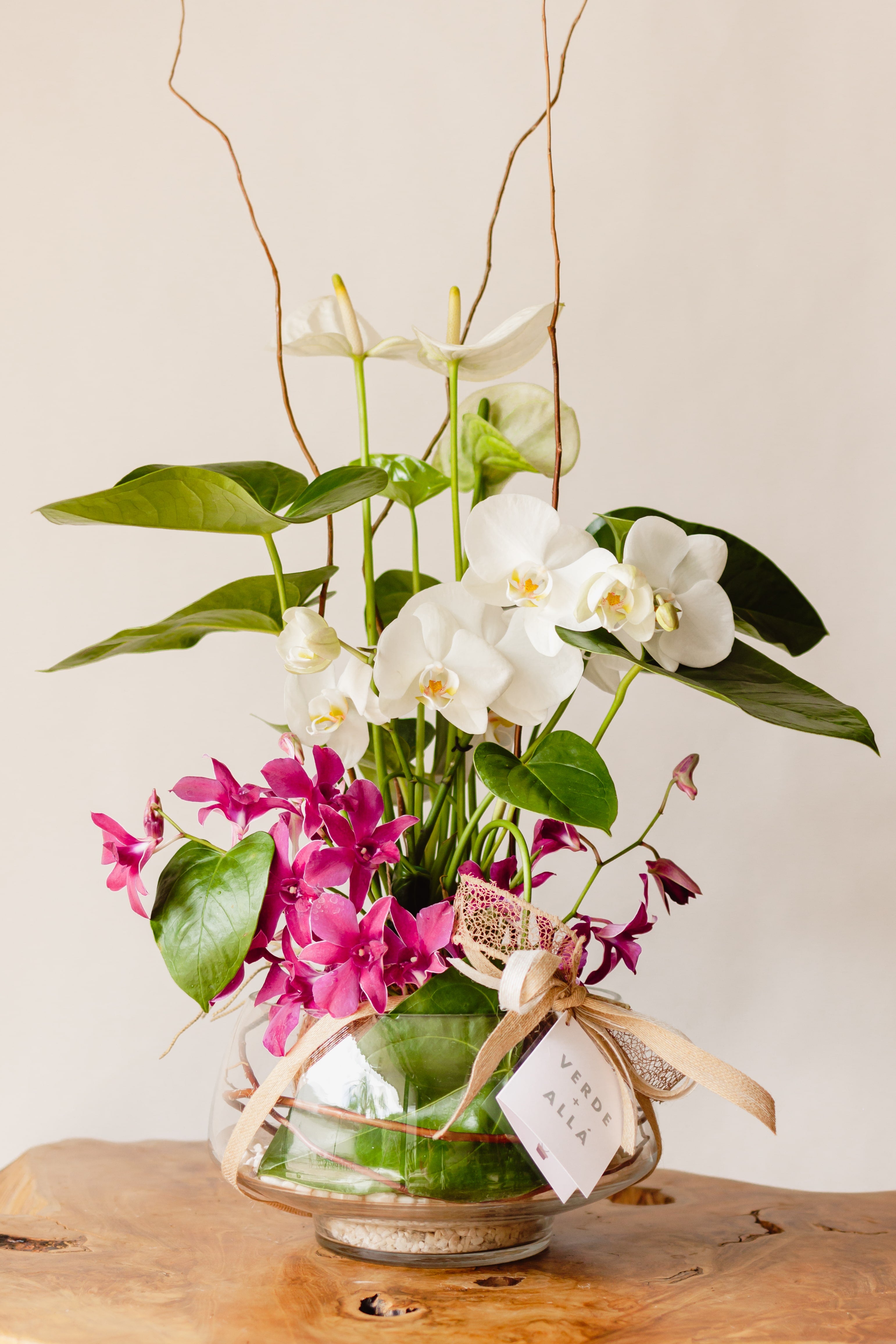 Anthurium Blanco con Orquídea Phalaenopsis Blanca y Orquídea Sonia