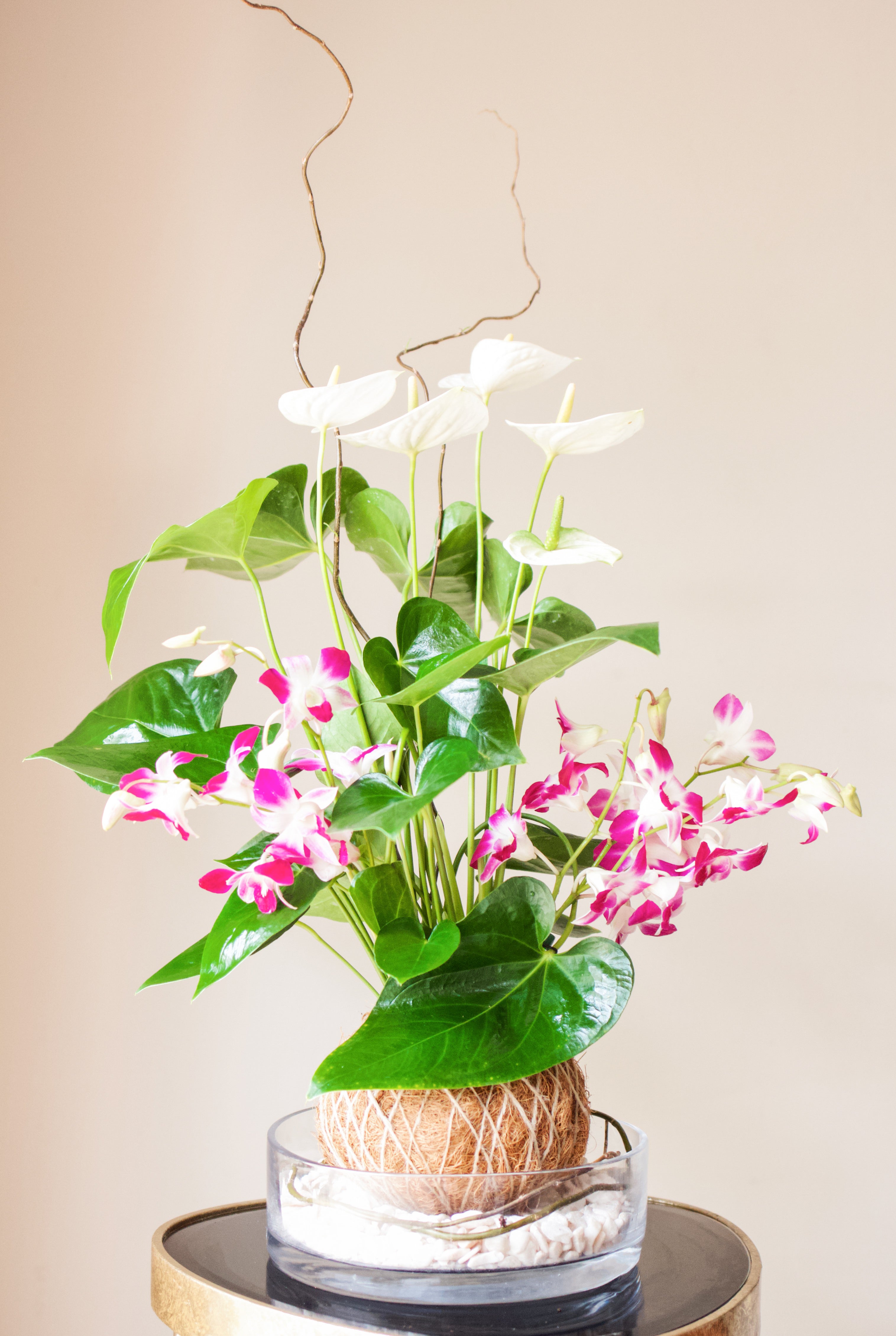 Anthurium Blanco con Orquídea Sonia