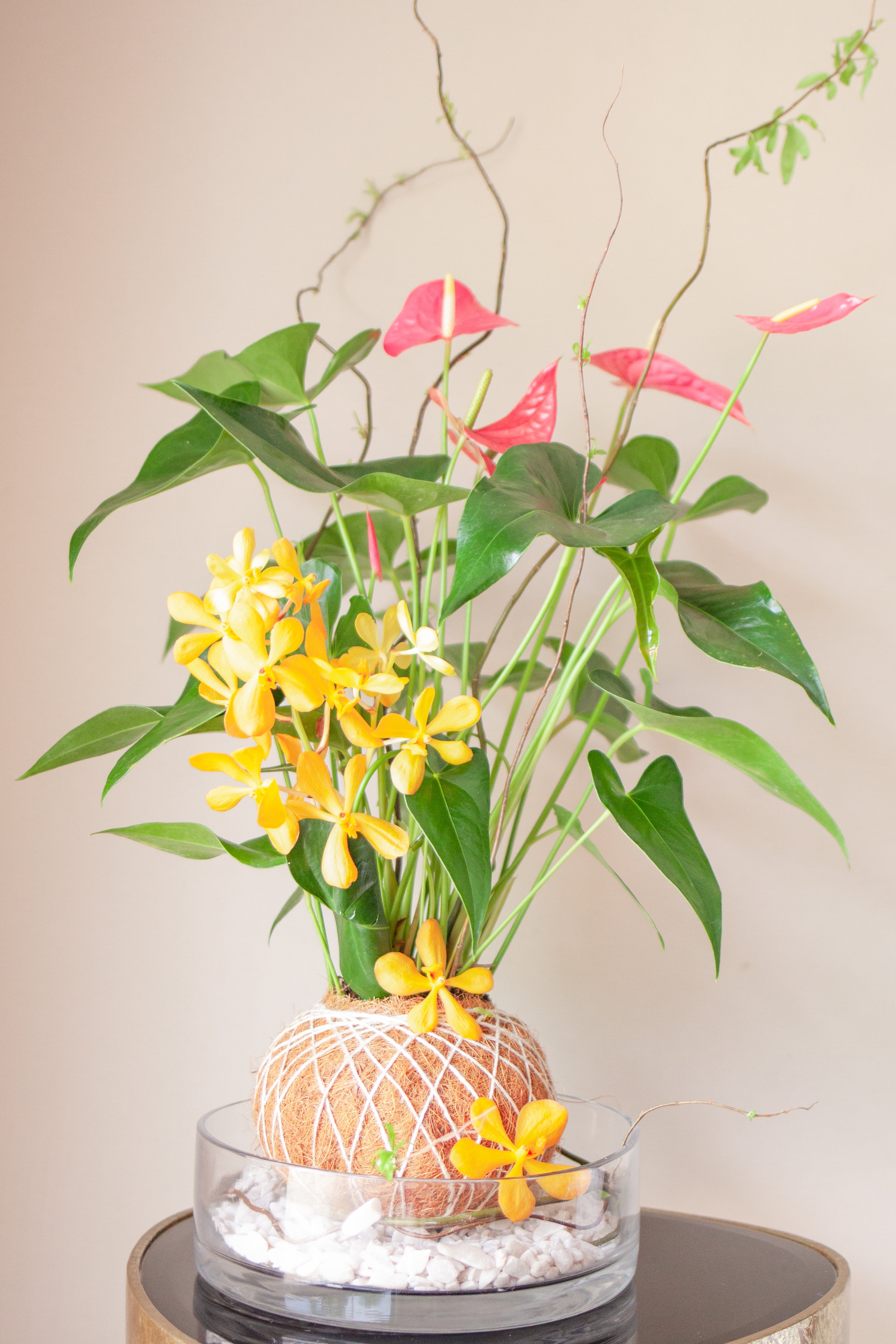 Anthurium Rosa con Orquídea Mokara