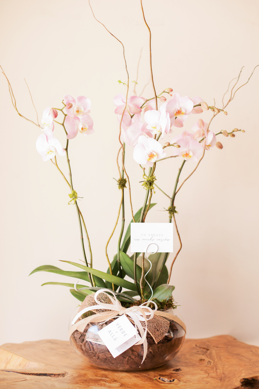 Orquídea Rosa de Cuatro Tallos