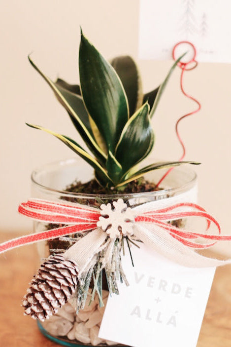 Mini Sanderiana de Navidad